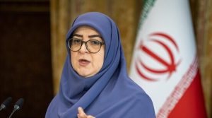 واکنش سخنگوی دولت به تخریب و تهدید رئیس‌جمهور؛ اداره کشور با شعار ممکن نیست